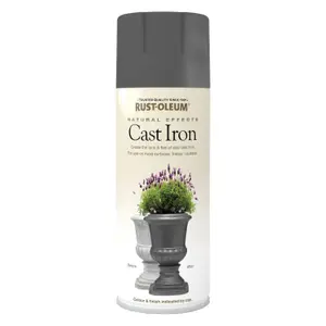 Rust-Oleum Natural Effects Matt Cast iron textured effect Multi-surface Spray paint, 400ml