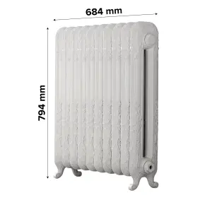 Arroll Daisy Cast iron White 10 Column Radiator, (W)684mm x (H)794mm