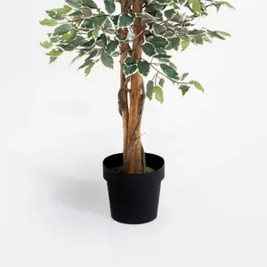 Blooming Artificial - 150cm / 5ft Variegated Fake Ficus Tree