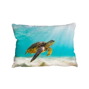 Photo Of Sea Turtle In The Galapagos Island (Outdoor Cushion) / 30cm x 45cm