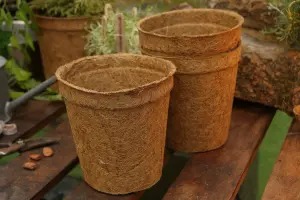 Coir Products 28cm Coir Pot for Indoor and Outdoor Use