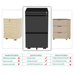 39cm Wide 2 -Drawer Mobile Steel File Cabinet Black