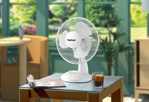 9inch Lightweight Desk Fan Portable 2 Speed Low Noise Oscillation Powerful Airflow Adjustable Tilt 3 Years Guarantee White