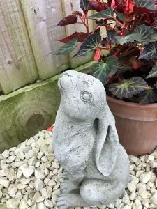 Rabbit Gazing Hare Stone Statue Outdoor British Made Bunny Rabbit Garden Ornament