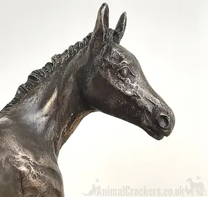 Foal figurine in solid cold cast bronze designed by David Geenty