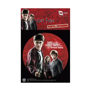 Harry Potter Vinyl Logo Stickers Multicoloured (One Size)