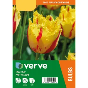 Tall Tulip Double Party Clown 10 Flower bulbs