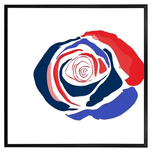 Red & blue rose (Picutre Frame) / 12x12" / Brown