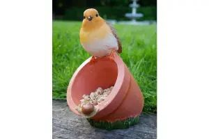 Robin sitting on Pot bird feeder