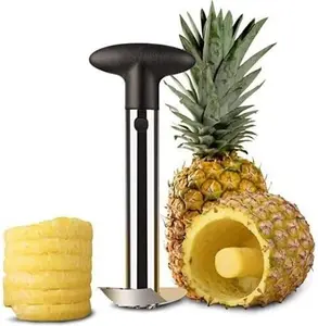 Fruit Pineapple Corer Slicer Peeler Cutter Parer Stainless Kitchen Easy Tool New