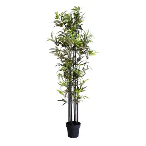 Blooming Artificial - 170cm / 5.5ft Artificial Black Stem Bamboo Tree