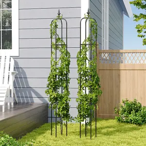 Set of 2 Garden Obelisk Trellises for Indoor & Outdoor Climbing Plants 5 ft