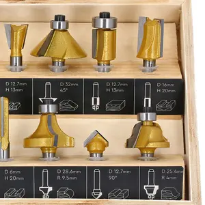 TOUGH MASTER Router Bit Set TCT Tungsten Carbide Tipped  Shank with case - 12 piece set (TM-RB12W)