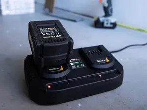 Batavia MAXXPACK Li-ion Dual Charger 240V