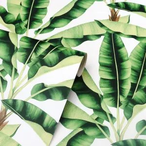 Arthouse Musa Green Tropical Banana Leaf Realistic Feature Wallpaper 909604