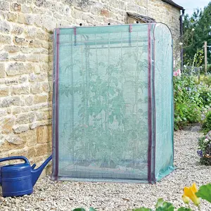 Tomato GroZone Max Mini Greenhouse with Steel Frame, PE Cover, Vent & Cane Holes, Zip Up Front & Back Panels - H150 x W100 x D80cm