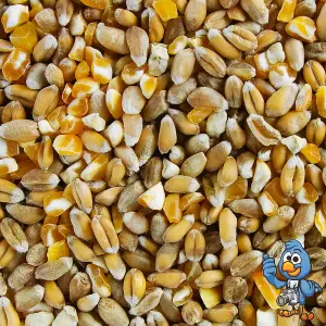 10L BusyBeaks Mixed Poultry Corn - Premium Grade Food Feed For Chicken Geese Duck