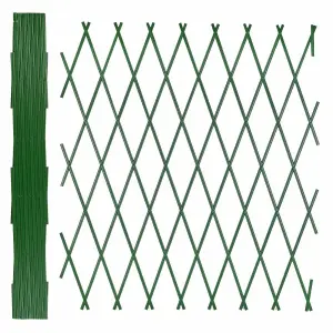 Plastic Wall Trellis Expanding Plant Climbing Vine Garden PVC Fence 200 x 100cm