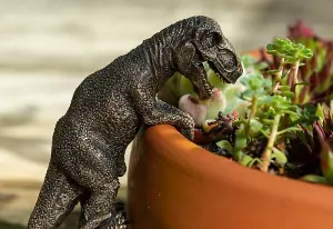 Tyranasaurus Rex Plant Pot Hanger