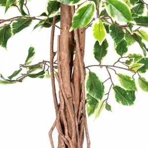 Homescapes Variegated Green Ficus Tree Artificial Plant with Twisted Trunk, 6 Ft