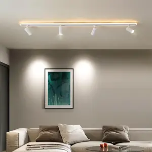 White LED Adjustable Fixed Track Lighting Head