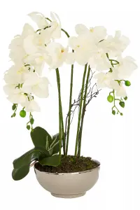 Fiori White Orchid Plant in Round Pot Artificial Plant Foliage