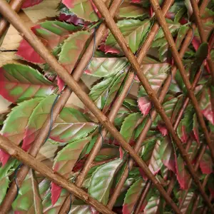 100cm x 200cm Artificial Fence Garden Trellis Privacy Screening Indoor Outdoor Wall Panel   Red Beech Leaf