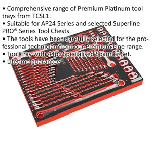 Premium 44-Piece Specialized Spanner Set with Tool Tray for Professionals