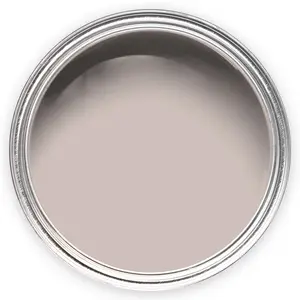 Annie Sloan Wall Paint 2.5 Litre Pointe Silk