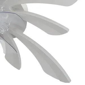 Annuska 78cm Ceiling Fan with LED Lights White