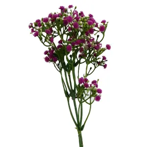 Pack of 6 x 55cm Gypsophila Pink Stem