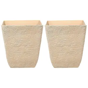 Set of 2 Plant Pots 49 x 49 x 53 cm Beige DELOS