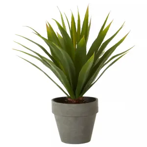 Fiori Agave Succulent Artificial Plant Foliage