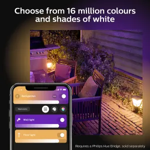 Philips Hue Econic White & Colour Ambiance LED Smart Outdoor Pedestal Light