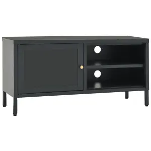 Berkfield TV Cabinet Anthracite 90x30x44 cm Steel and Glass