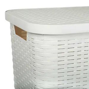 Plastic Laundry Hamper with Handles White