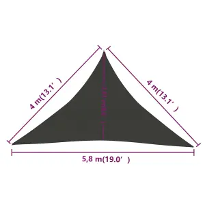 Berkfield Sunshade Sail 160 g/m2 Anthracite 4x4x5.8 m HDPE