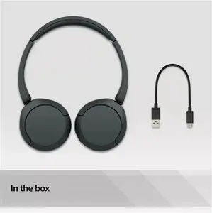 Sony WH-CH520 Bluetooth Wireless On-Ear Headphones With Mic/Remote