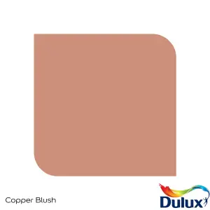 Dulux Easycare Kitchen Copper Blush Matt Wall paint, 30ml