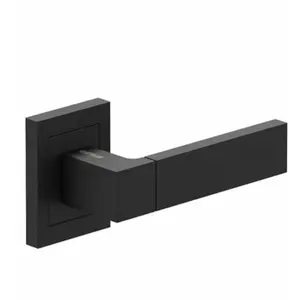 Multipoint Lock Door Handle