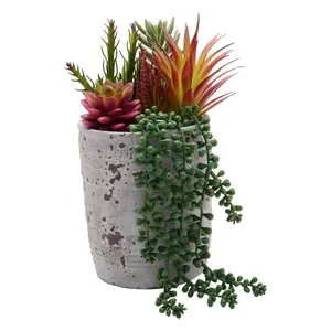 Artificial Succulent Plant Trailing in a White Pot