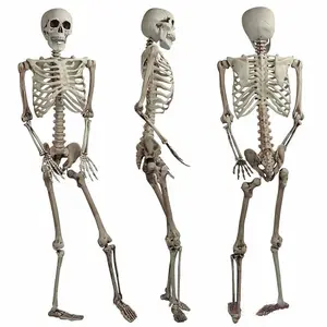 Halloween Poseable Skeleton Decoration 165cm