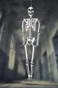 Halloween Poseable Skeleton Decoration 165cm