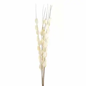 Bouquet of Dried Thlaspi Arvense Artificial Plant - L16 x W16 x H120 cm - White