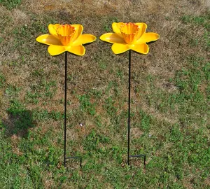 Cast Iron Daffodil Dish Wild Bird Feeders (Set of 5)