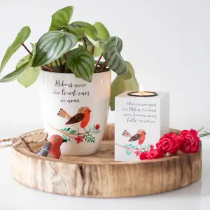 Ceramic Indoor Plant Pot with a Robin Design and Text. Lovely Gift Idea. (Dia)11 cm