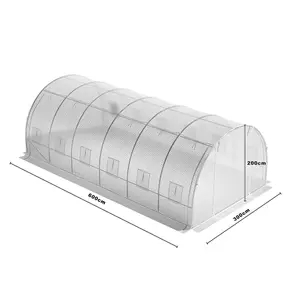 White Walk In Steel Frame Garden Tunnel Greenhouse Grow House with Roll Up Door Windows, 6x3x2M