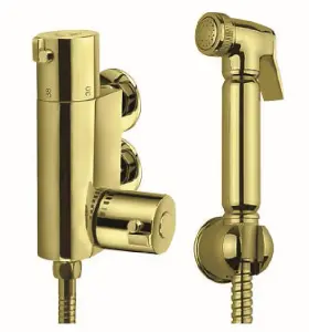 Aquarius FT Shattaf Douche Kit with Thermostatic Mini Valve Brushed Brass