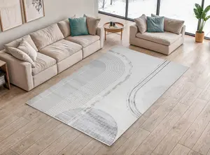 Mystique Large Indoor Rug 200 X 290cm