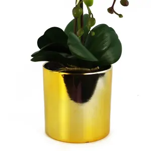 52cm Artificial Orchid Large - Purple / Gold